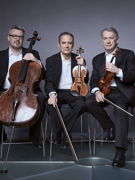 four gray-haired white men in matching gray suits hold their stringed instruments before a gray photo backdrop