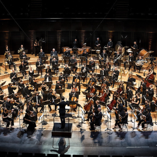 an orchestra on stage in a semicircle