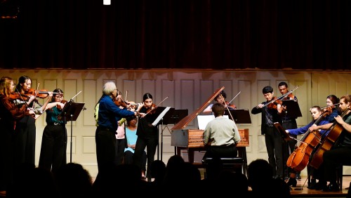 Hemenway strings, in performance