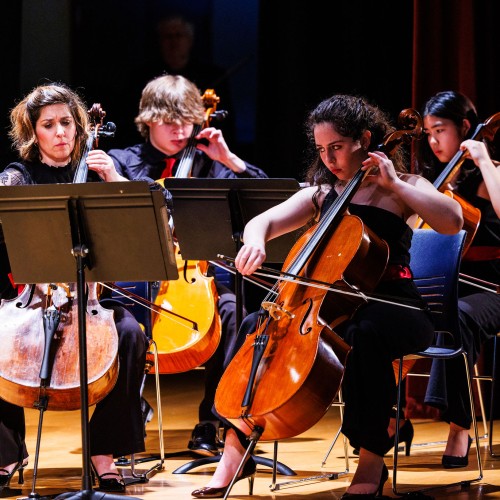 a chamber orchestra, performance photo