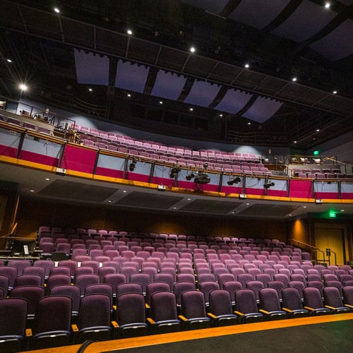 A view from the stage into a large school auditorium with purple theater seats