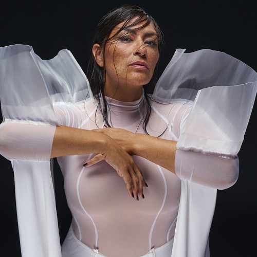 an indigenous woman in her 40s, with a deeply freckled face and dark hair trailing across her forehead, nose and cheeks. she wears a translucent white top with prominent ear-high ruffles at the shoulders