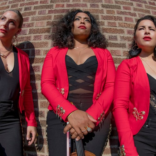 Flor de Toloache mariachi ensemble, group portrait