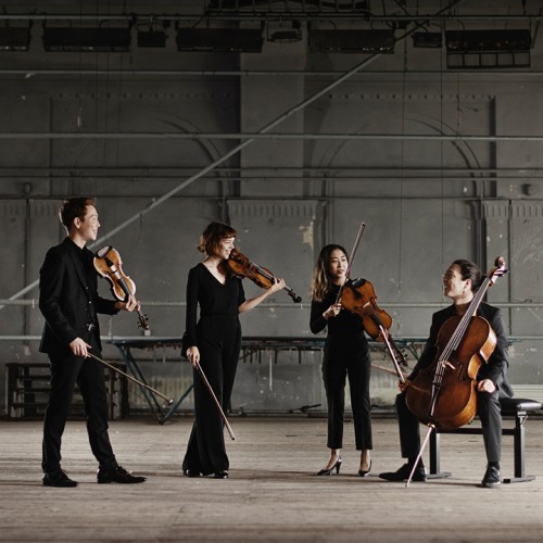 leonkoro quartet, string ensemble, portrait with instruments