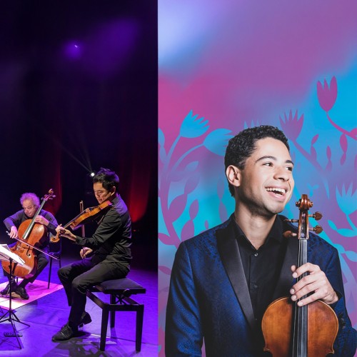 A string quartet of three men and one woman performs on a modern stage with uplighting and purple hues. 