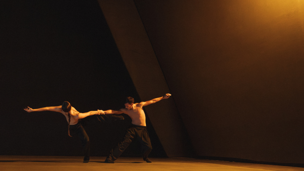 ballet bc dancers, hand in hand under golden light