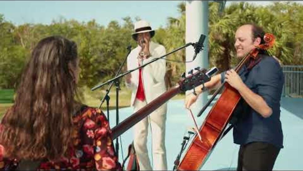 A group of musicians perform outdoors in a sunny verdant park