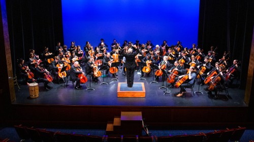 All-Cello Orchestra ensemble, group portrait