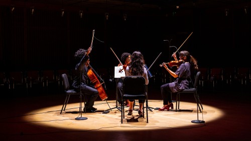 Castle of Our Skins ensemble performing on stage