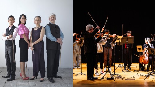 Borromeo String Quartet, group portrait